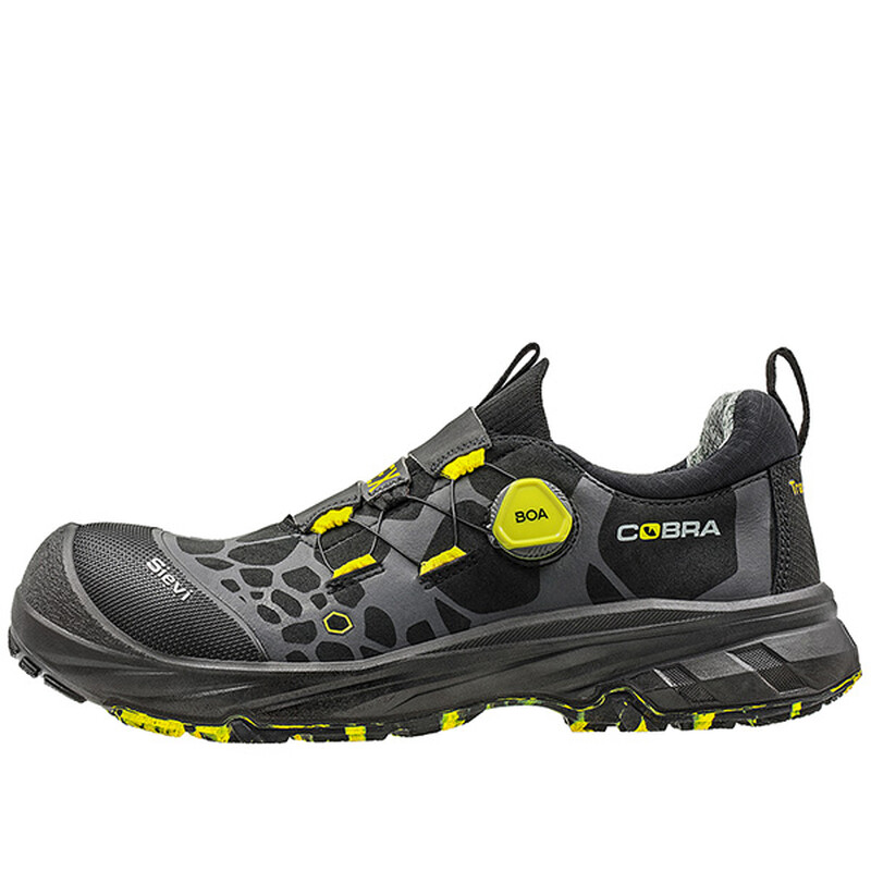 cobragt2